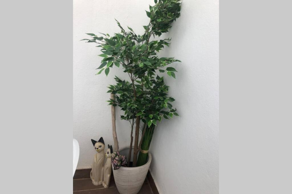 Graça 4 Appartement Lisboa